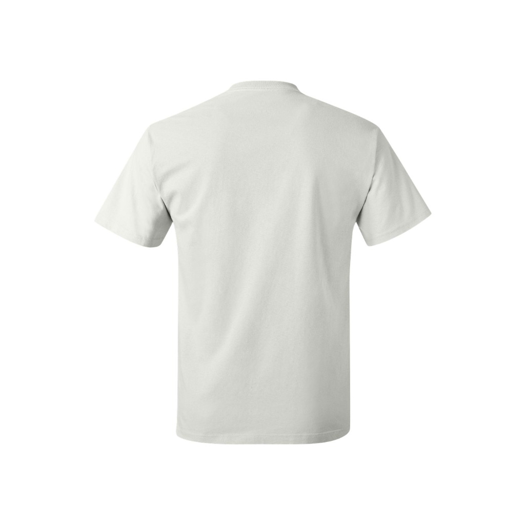 Hanes Authentic T-Shirt