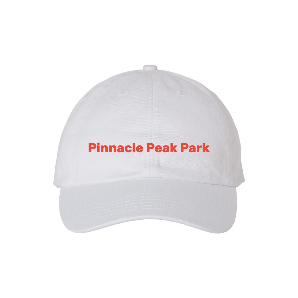 Valucap Adult Bio-Washed Classic Dad Hat