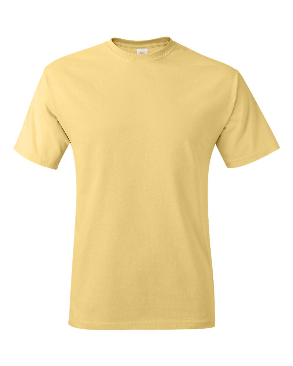 Hanes Authentic T-Shirt